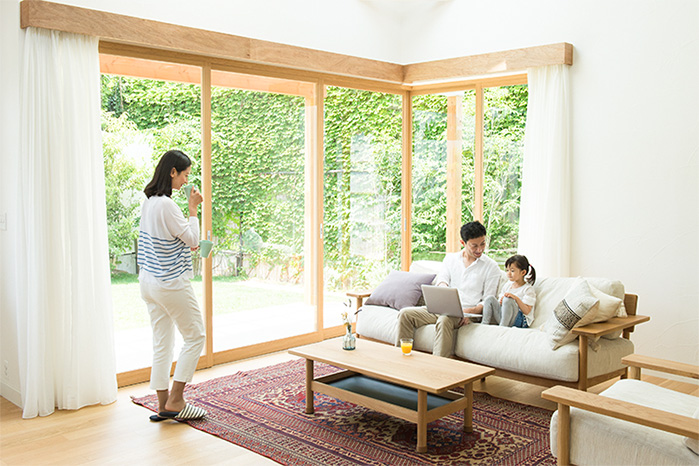 セルローズファイバー画像