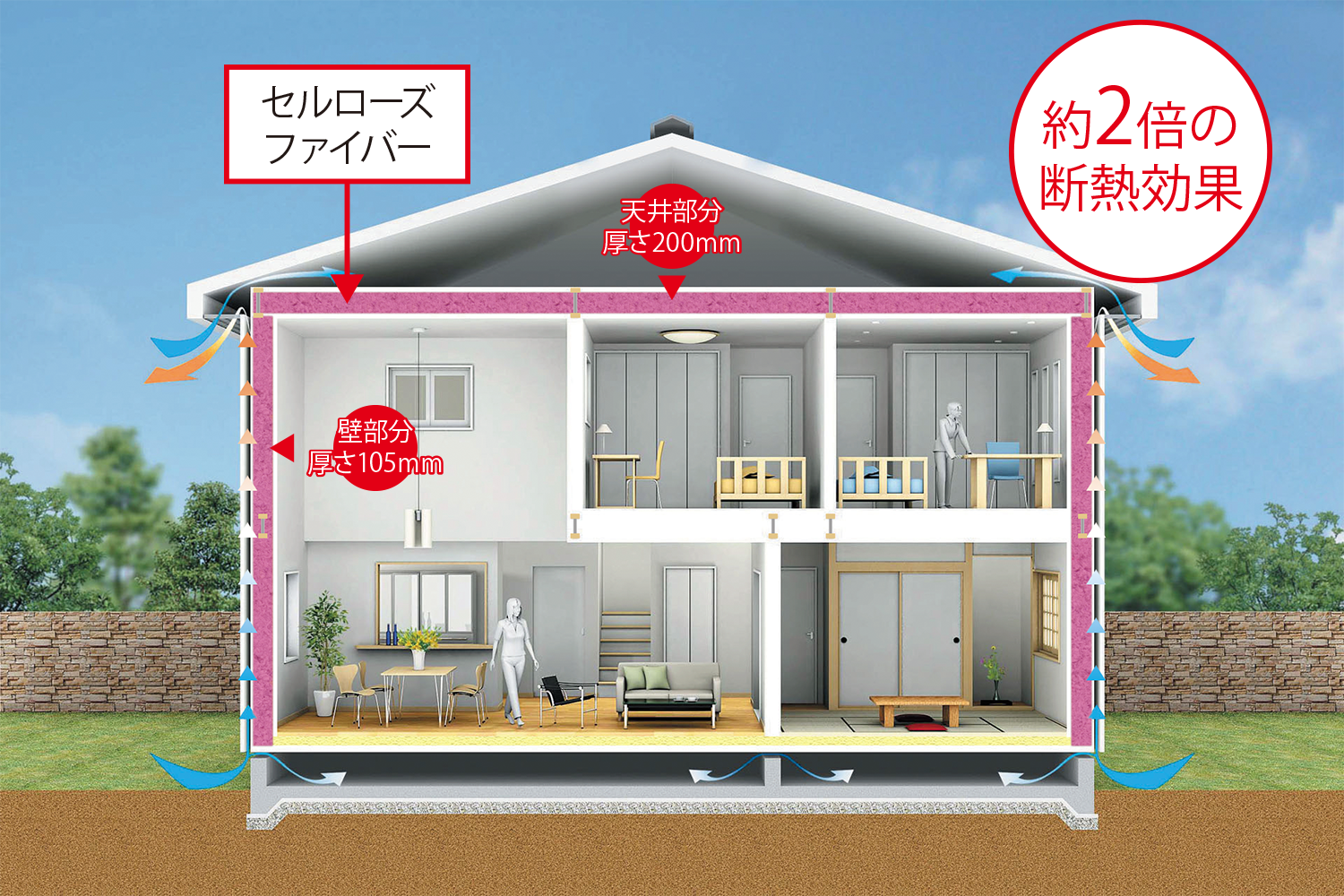 セルローズファイバー画像