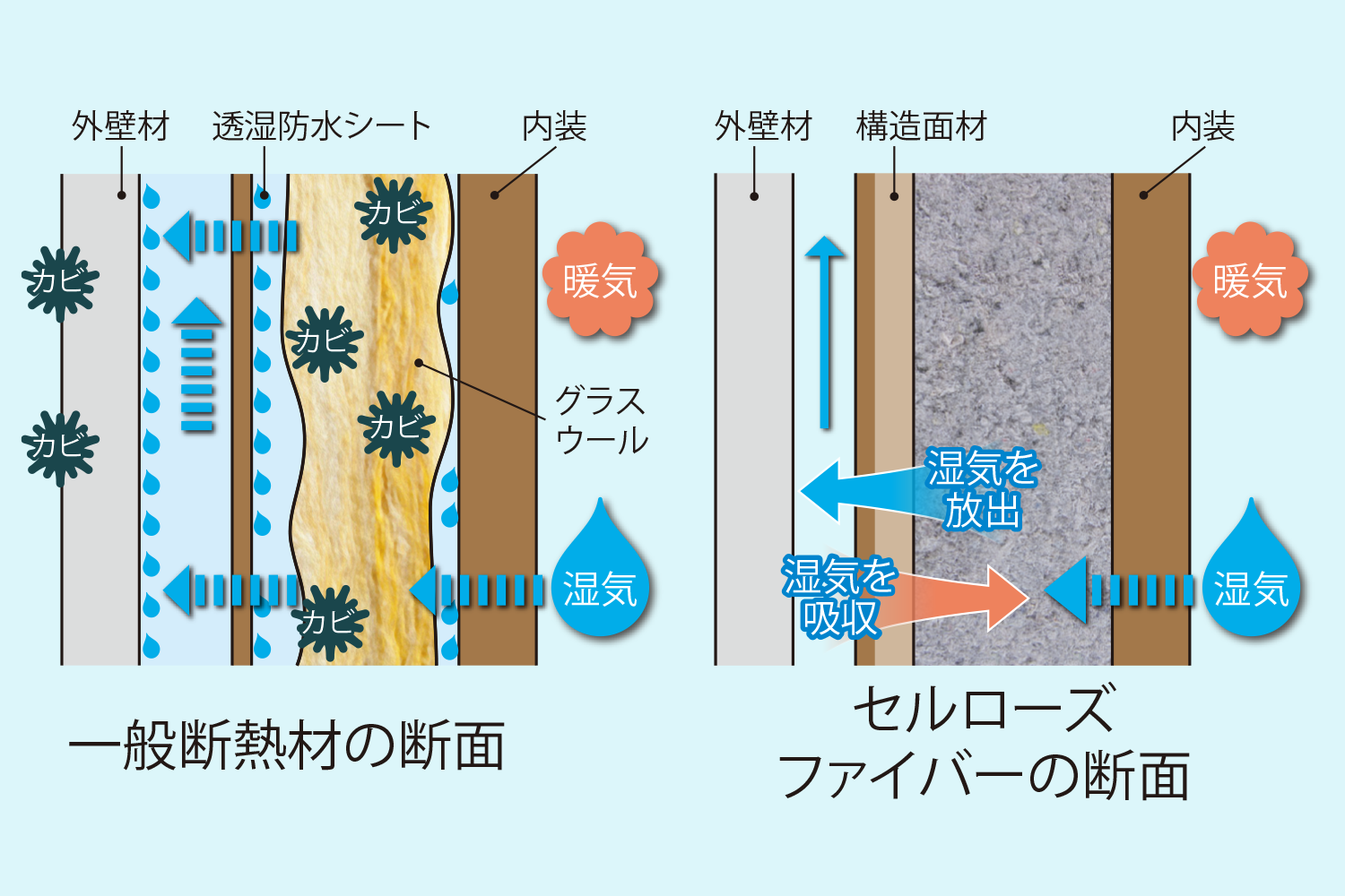 セルローズファイバー画像