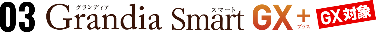 03 Grandia Smart GX+